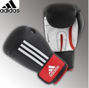 GANTS de Boxe ENERGY 200